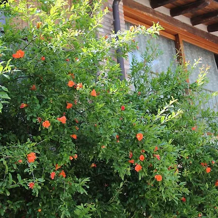 לינה וארוחת בוקר Il Melograno Del Garda פאדנג'ה סול גארדה