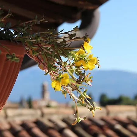 לינה וארוחת בוקר Il Melograno Del Garda 3*