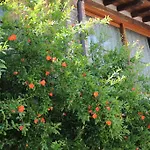 Frühstückspension Il Melograno Del Garda Padenghe sul Garda